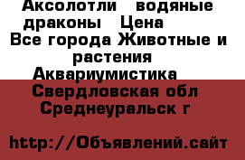 Аксолотли / водяные драконы › Цена ­ 500 - Все города Животные и растения » Аквариумистика   . Свердловская обл.,Среднеуральск г.